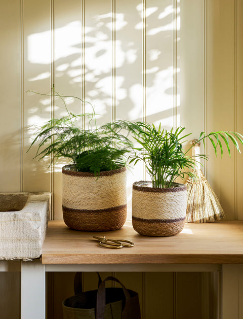 Woven Plant Pots - Multi Stripe Jute Seagrass
