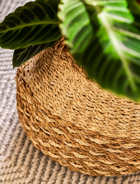 Kingsmead Belly Basket Pot in Seagrass