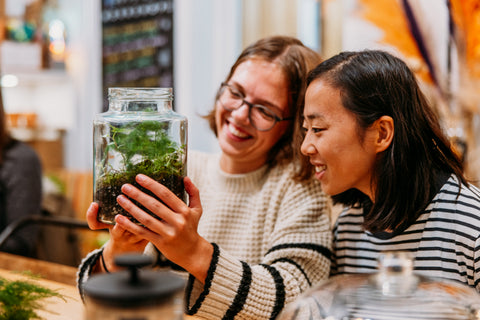 Forest Terrarium Workshop