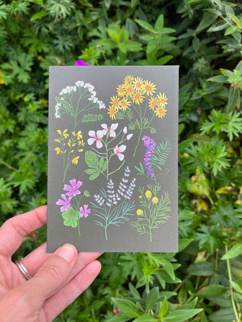 A Walk at Snape Maltings Greetings Card - Sprouts of Bristol
