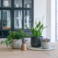 Alfie Terrazzo Planter - Sprouts of Bristol