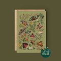 British Moths Greetings Card - Sprouts of Bristol
