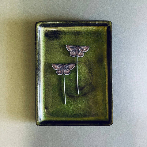 Common Blue Butterfly Plant Pot Companions  - Sprouts of Bristol