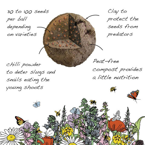 Kit para hacer tus propias bolas de semillas - Flores para abejas
