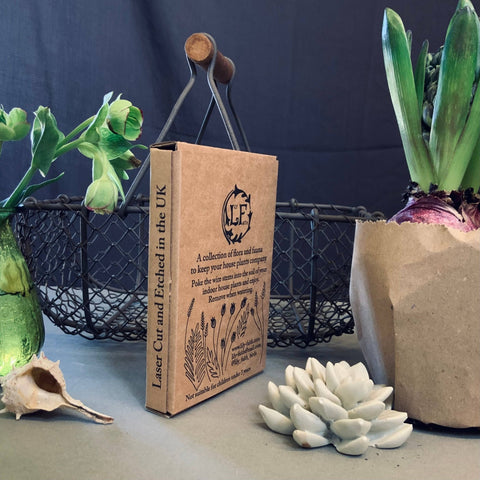 Hare Plant Pot Companions - Sprouts of Bristol