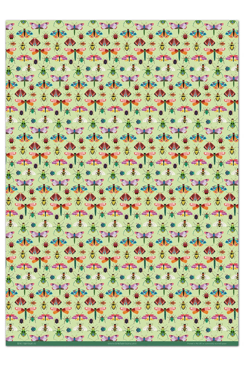 Insects Gift Wrap - Sprouts of Bristol
