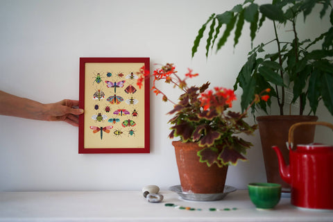 Insects Print A4 - Sprouts of Bristol