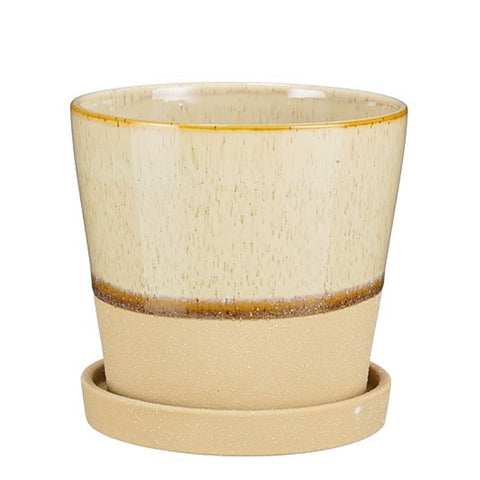 Josh Pot With Saucer in Beige - Sprouts of Bristol