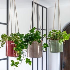 Kai Hanging Cylinder Planter - Sprouts of Bristol