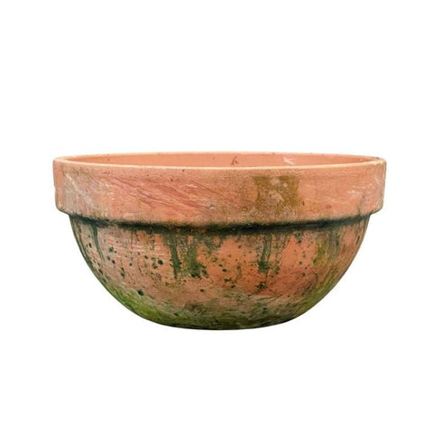 Levi Aged Terracotta Bowl Planter - Sprouts of Bristol