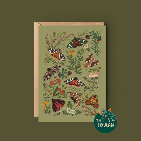 British Moths Greetings Card