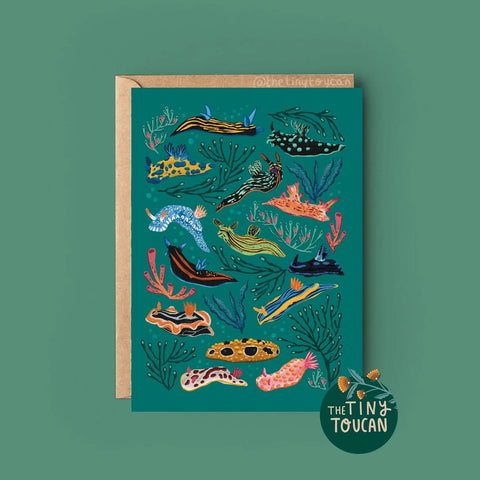 Nudibranch Sea Slug Greetings Card - Sprouts of Bristol
