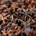Orange & Cinnamon Diffuser Refill - Sprouts of Bristol