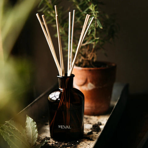 Orange & Cinnamon Diffuser Refill - Sprouts of Bristol