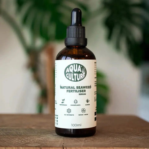 Organic Seaweed Plant Food Serum - Sprouts of Bristol