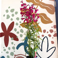 Penstemon 'Garnet' - Beard Tongue [British Grown Perennial] - Sprouts of Bristol