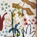 Phalaenopsis 'Red Lips' - Pink Moth Orchid - Sprouts of Bristol