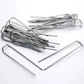 Plant Mossing Pins for Coir Moss Poles - Sprouts of Bristol