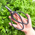 Plant Pruning Scissors - Sprouts of Bristol