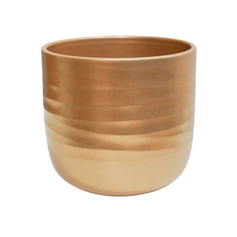 Poinsettia Ripple Gold Planter - Sprouts of Bristol