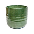 Poinsettia Ripple Green Planter - Sprouts of Bristol