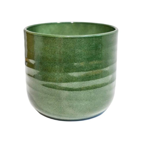 Poinsettia Ripple Green Planter - Sprouts of Bristol