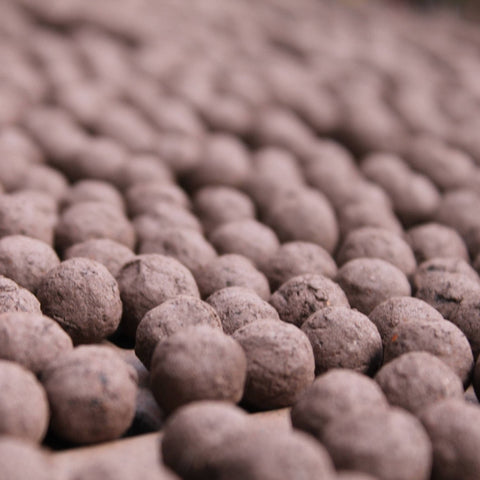 Poppy Wildflower Seedball Tubes - Sprouts of Bristol
