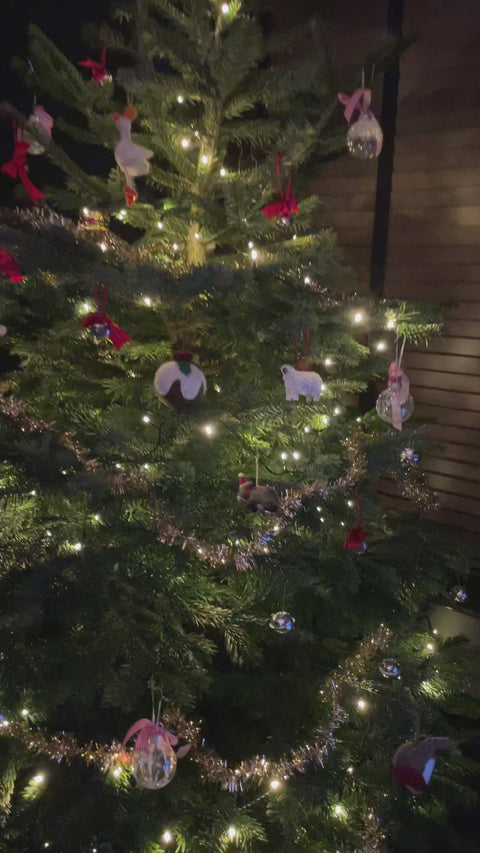Weihnachtsbaum - Edeltanne/Nordmanntanne – Nadelt nicht – Aus der Region