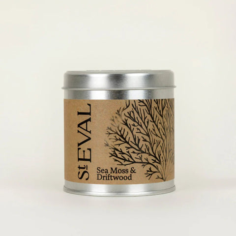 Sea Moss & Driftwood Scented Tin Candle - Sprouts of Bristol