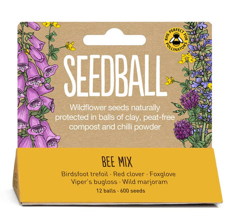 Seedball Meadow Pots - Bee Mix - Sprouts of Bristol
