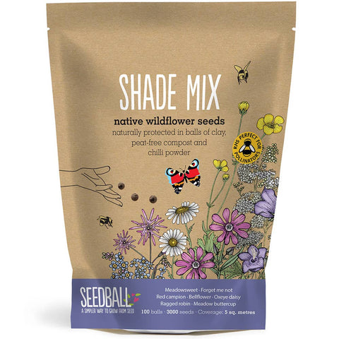 Shade Mix - Wildflower Grab Bag - Sprouts of Bristol