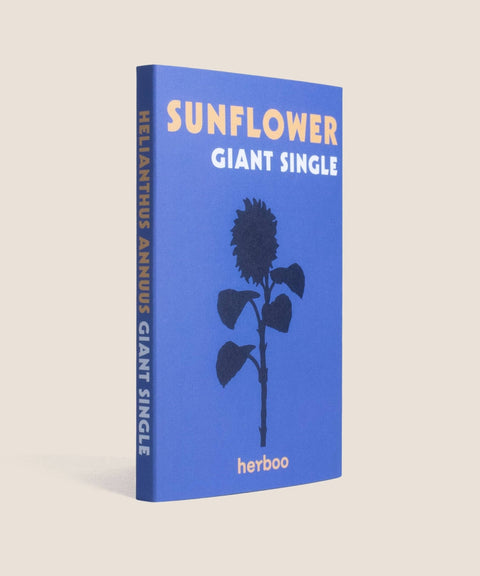 Sunflower 'Giant Single' Seeds - Sprouts of Bristol