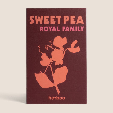 Sweet Pea 'Royal Family' Seeds - Sprouts of Bristol