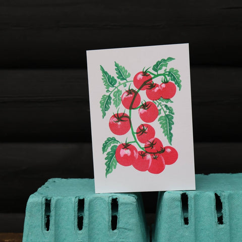 Tomato Grow Greetings Card - Sprouts of Bristol
