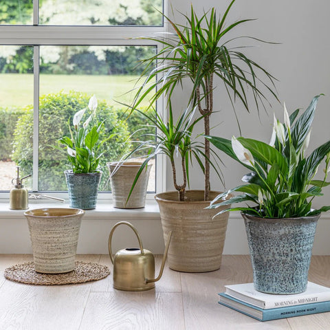 Vallo Reactive Glaze Tapered Planter in Blue - Sprouts of Bristol