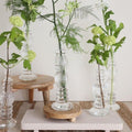 Venice & Florence Glass Candle Holder / Flower Vase - Sprouts of Bristol