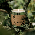 Walled Garden Scented Tin Candle - Sprouts of Bristol