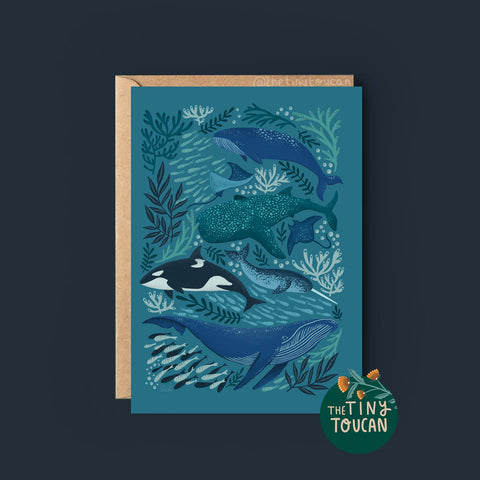 Whales Greetings Card