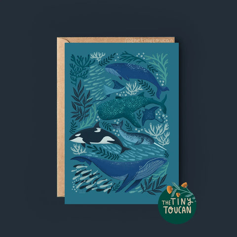 Whales Greetings Card - Sprouts of Bristol