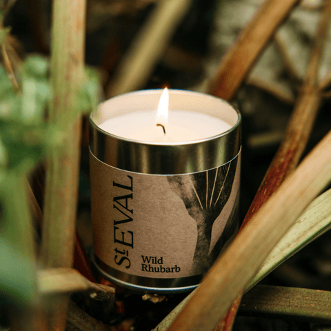 Wild Rhubarb Scented Tin Candle - Sprouts of Bristol