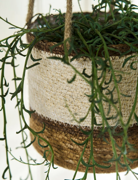 Woven Hanging Plant Pot – Cream & Brown Multi Stripe - Sprouts of Bristol