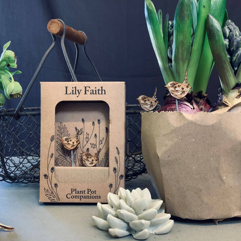 Wren Plant Pot Companions - Sprouts of Bristol