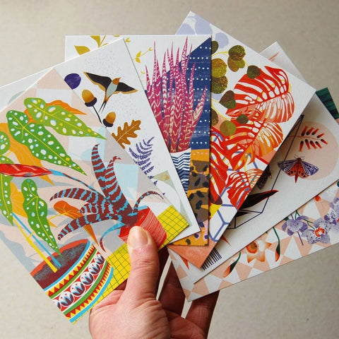 Botanicals Set 1 - Postcard Pack - Sprouts of Bristol