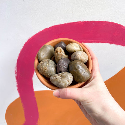 Brown Pebbles 20-40mm / 400g - Terrarium Supplies - Sprouts of Bristol