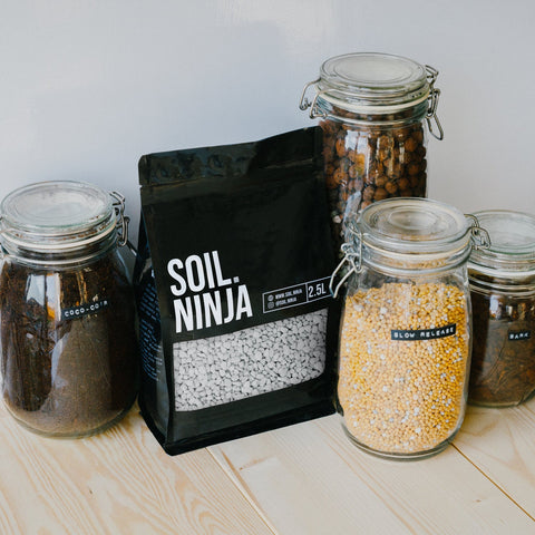 Coarse Pumice - Soil Component - Sprouts of Bristol