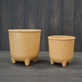 Earthy Yellow Coffee Husk Pot with Feet - Sprouts of Bristol