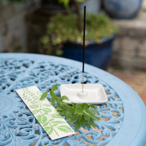 Eucalyptus Fairtrade Incense - Pungent, Sharp and Green - Sprouts of Bristol