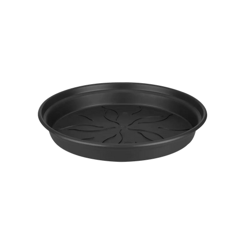 Green Basics Nursery Saucer - Sprouts of Bristol