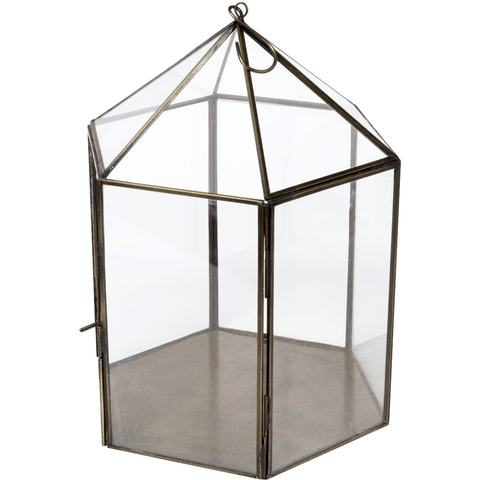 Hexagonal Brass & Glass Terrarium - Sprouts of Bristol