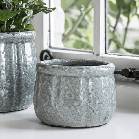 Minori Pot - Sprouts of Bristol